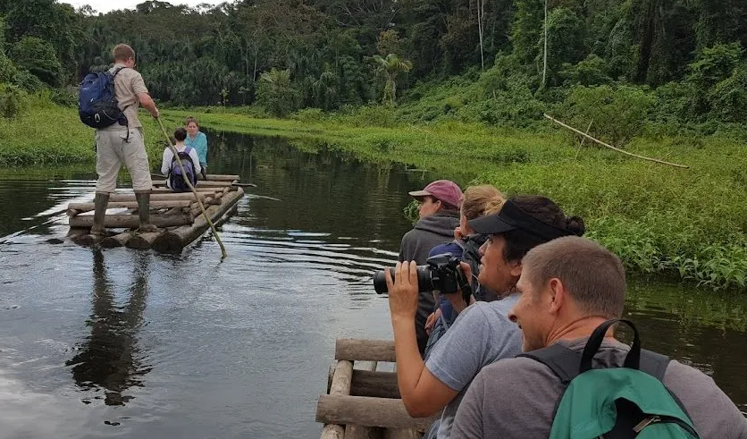 How to Experience the Macaw Clay Lick on a Manu Birding Tour