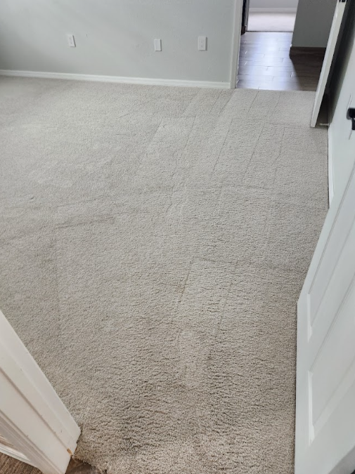 Deep Cleaning for High Traffic Areas: What You Need to Know