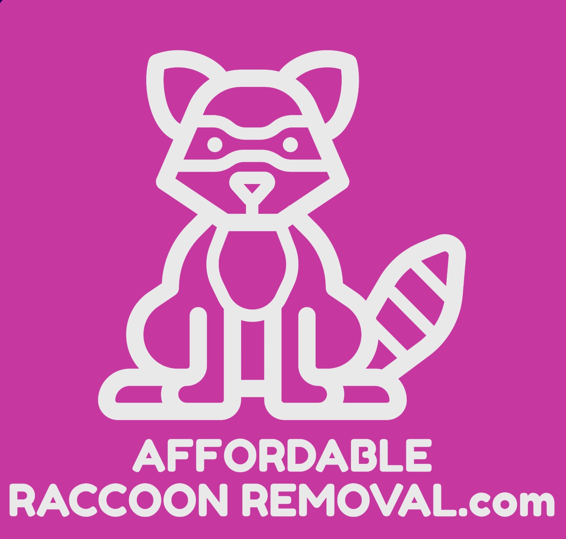 How Much Does Raccoon Removal Cost in Toronto?