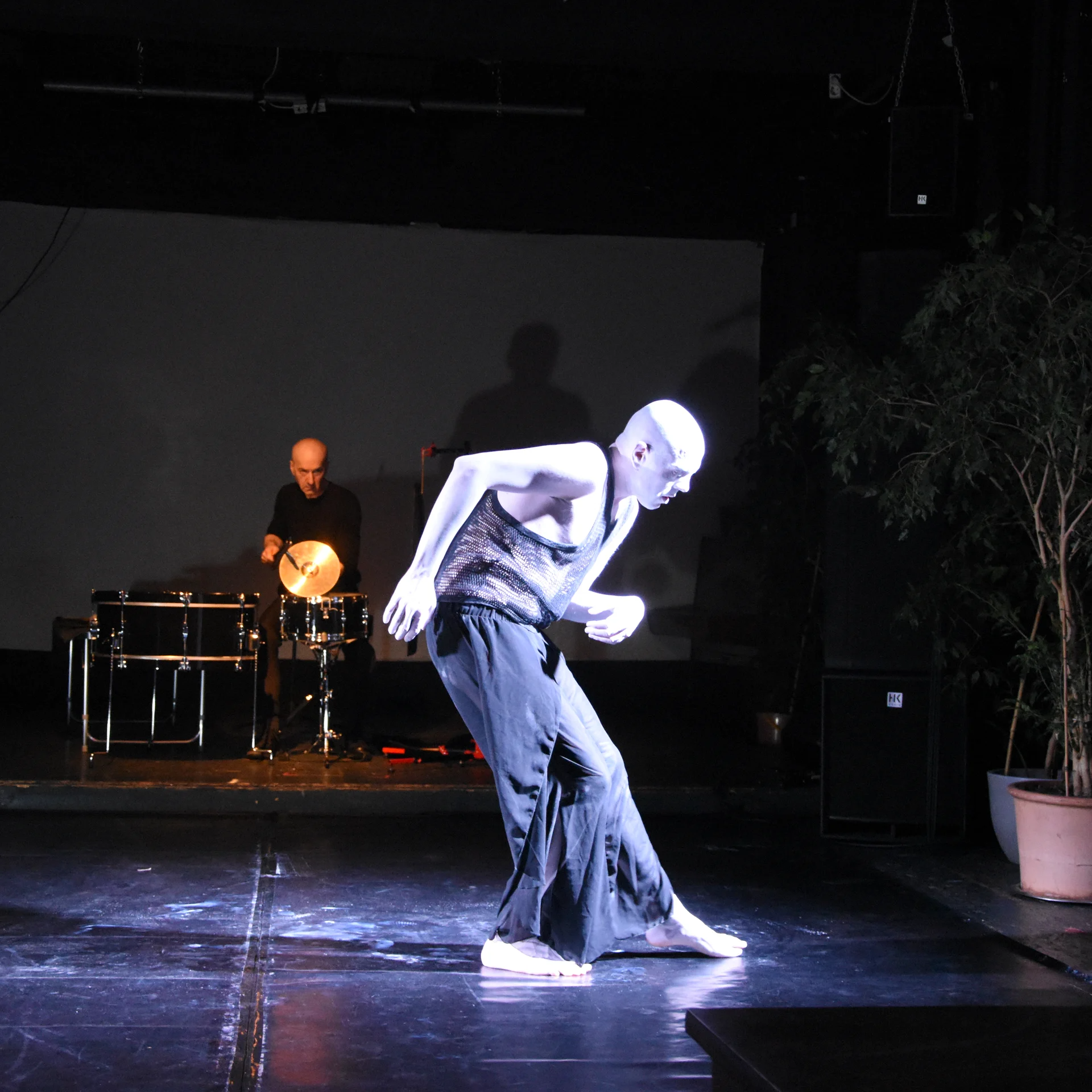 Authentic Butoh Lessons Online – Train with an Experienced Butoh Teacher