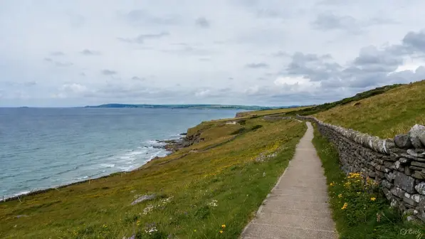 Find Walking Friends Easily with the Walkmates Community