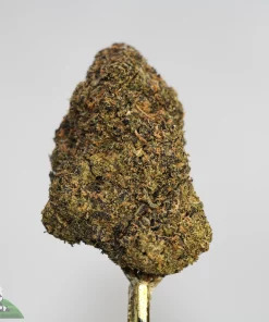 Buy Premium Weed Online in Canada