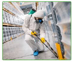 How Can Termite Control Services in Lahore Protect Your Property?
