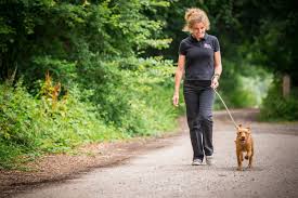 Professional Dog Care Services in West London: Walking and Boarding Solutions