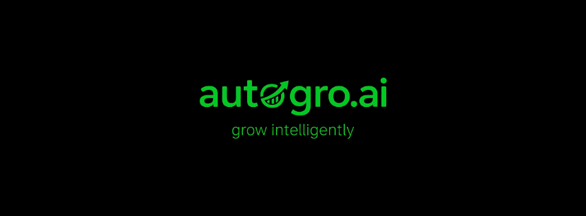 How to Choose the Right Marketing Agency in San Diego for Your Business Growth
