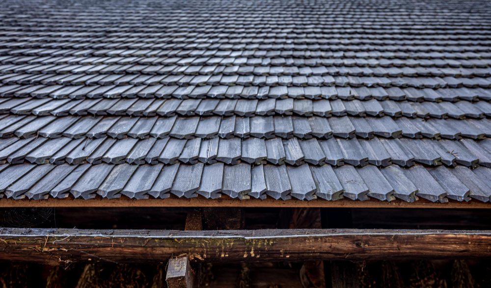 Roof Problems in Sussex? What Every Homeowner Should Know