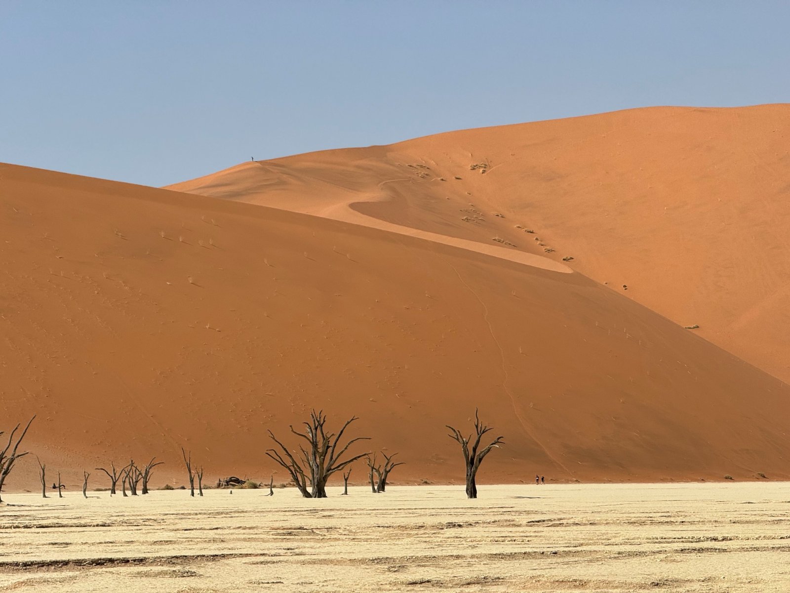 Namibia e-Visa for Turkish Citizens – Online Visa Application Guide