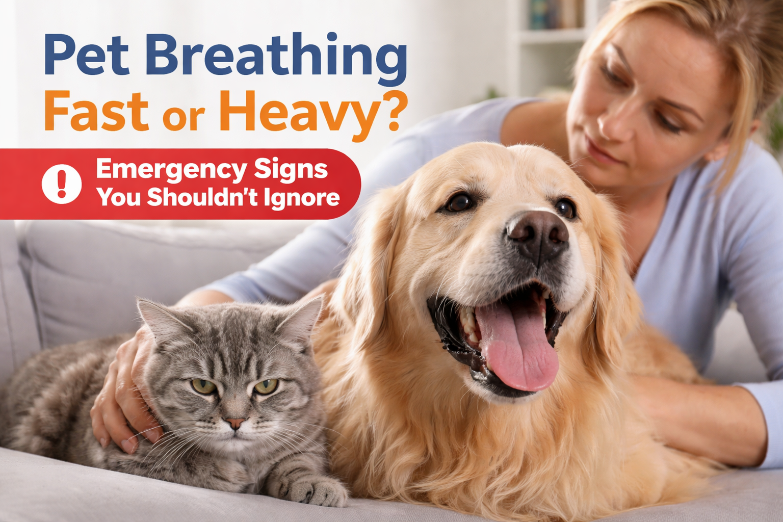 🐾 Pet Breathing Fast or Heavy: Emergency Signs You Shouldn’t Ignore
