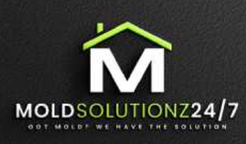 How Mold Removal Service in Anaheim CA Can Protect Your Home and Health