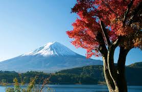 Must-Have Apps for Japan Travel: A Guide for First-Time Visitors