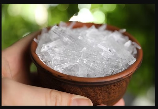 Menthol and its derivatives: Applications beyond the food industry