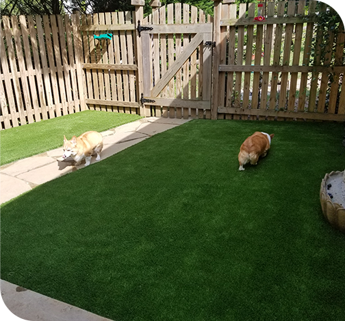 Premium Synthetic Turf Installation for Modern Outdoor Spaces