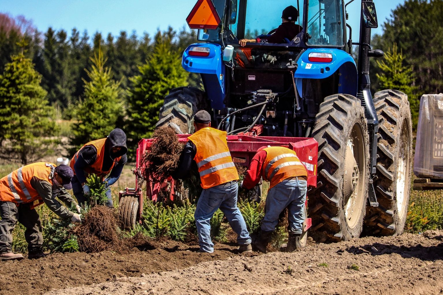Is Workforce Management the Key to Future Farming?