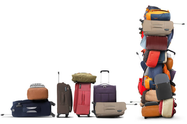 Malaysia Bags and Luggage Market Growth Driven by Travel Recovery and Lifestyle Demand