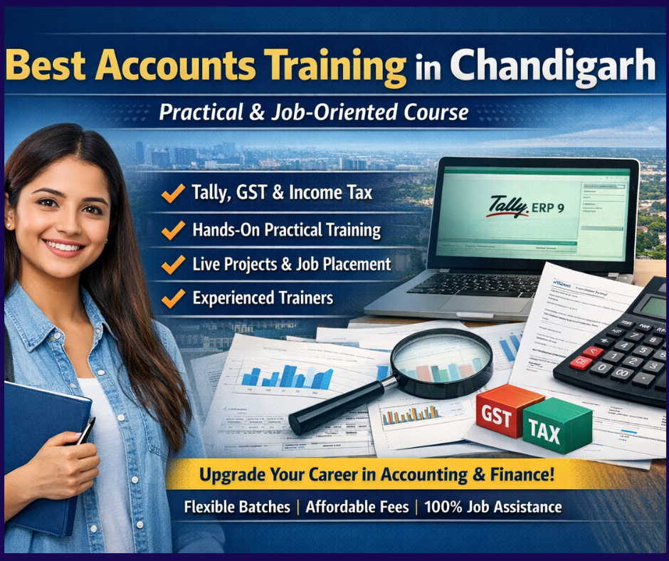 Build a Successful Career in Modern Accounting from Anywhere