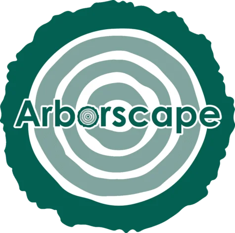 Tree Surgeon Cumbria: Expert Tree Care Services by ArborscapeUK