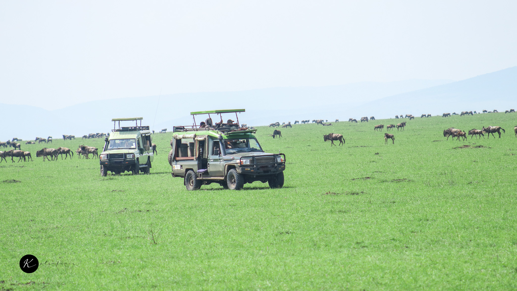 Where to Stay in Maasai Mara: Best Lodges, Camps & Locations for Every Budget