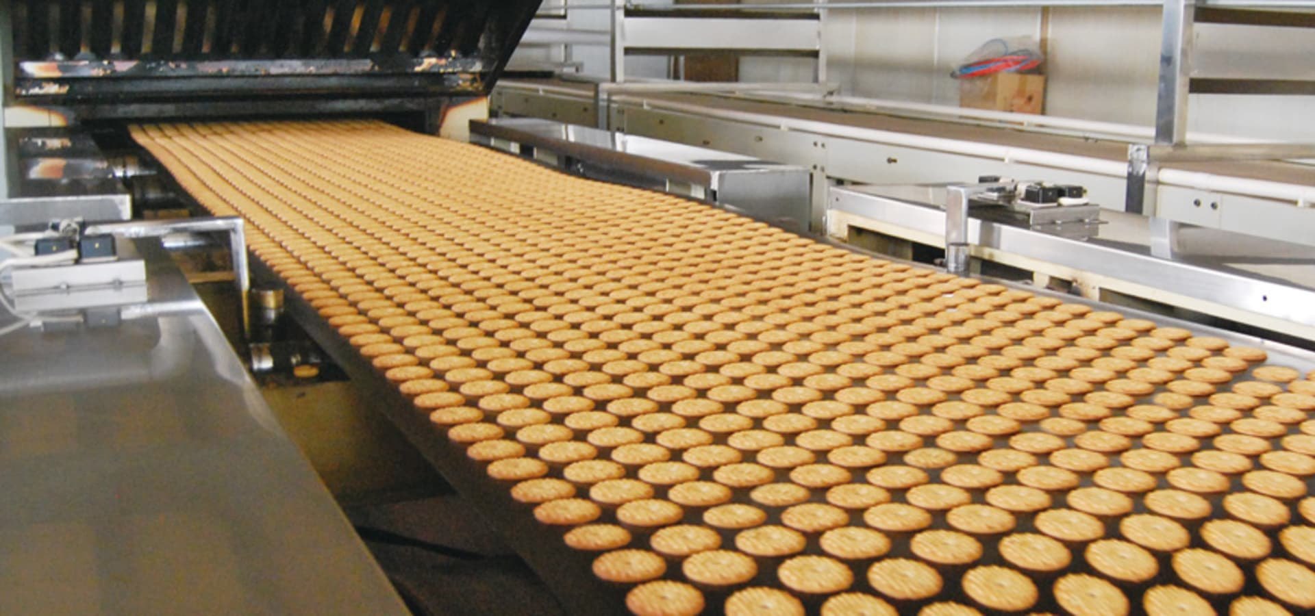 Biscuit Manufacturing Plant Setup Cost Report 2026: CapEx, OpEx, Profitability & ROI Analysis