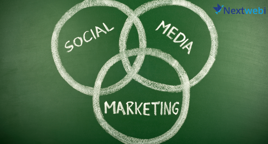 Social Media Management for Facebook, Instagram, LinkedIn & More