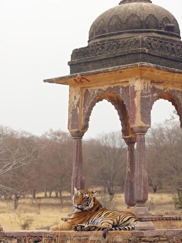 Visit in Jaisalmer India Worth KnowingWorth Knowing