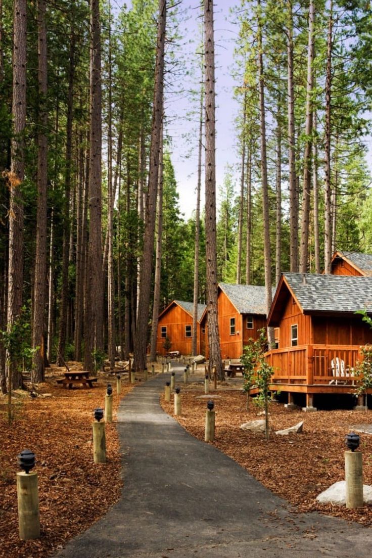 Yosemite National Park Vacation: How to Plan It Right