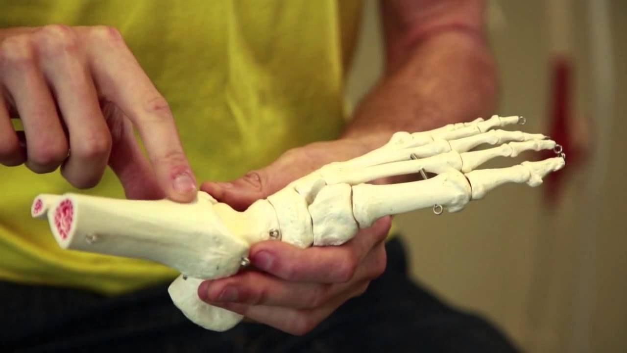 The Benefits of Professional Biomechanical Care in Edinburgh