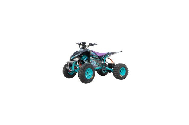 4 Wheel Bike vs ATV Bike — What's the Difference & Which One Should You Buy?