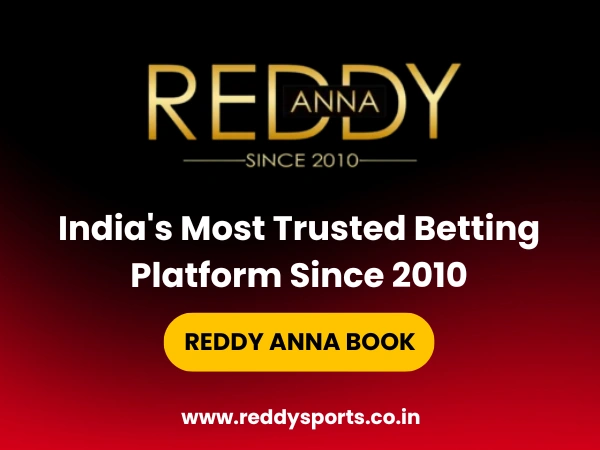 Online Cricket ID and User Experience Design | Reddy Anna Win