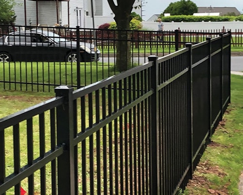 Can a Local Expert Recommend the Best Material for My Yard?