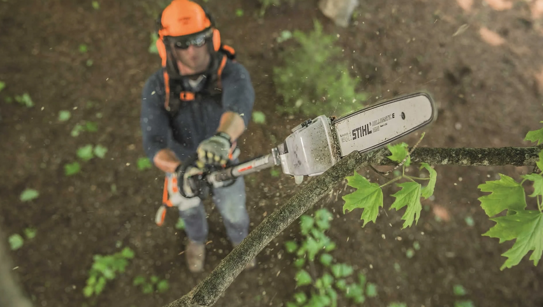 Keeping Your Auckland Garden Healthy, Tidy and Safe