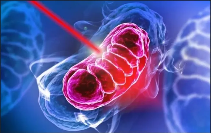 The Growing Popularity of Red Light Therapy in London