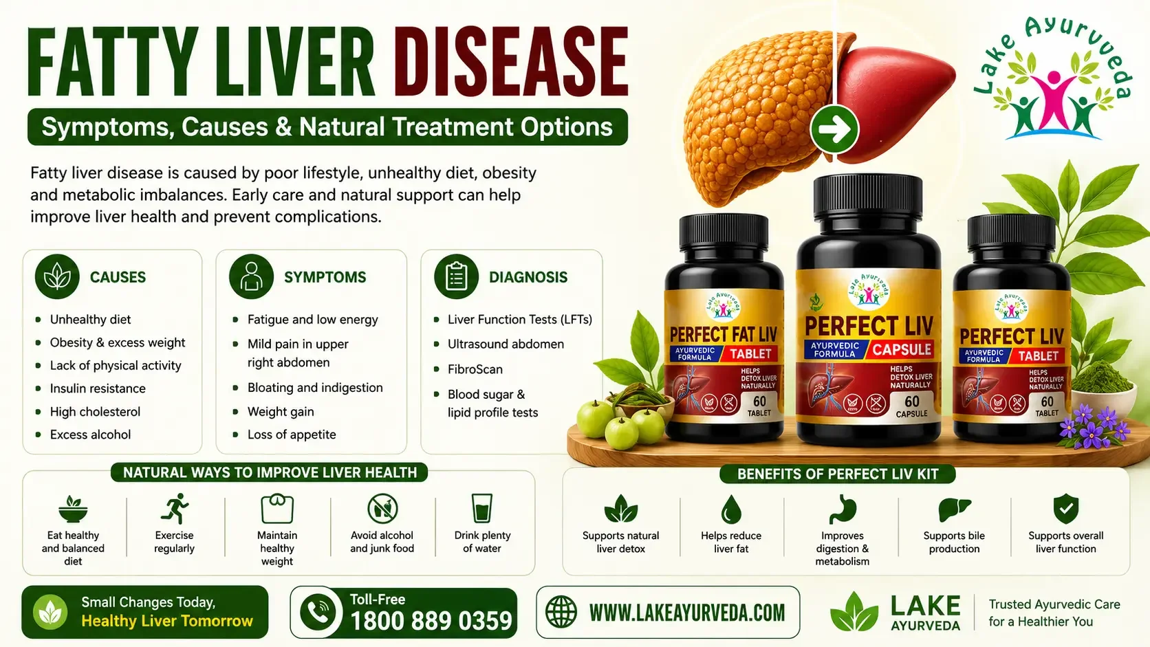 Fatty Liver Disease: Symptoms, Causes, and Natural Treatment Options