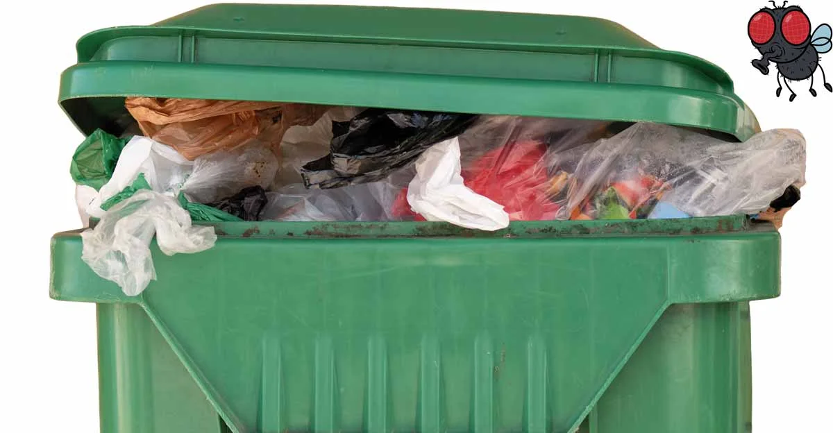 Professional Bin Cleaning Services in the USA – BrightBins for a Cleaner, Healthier Home