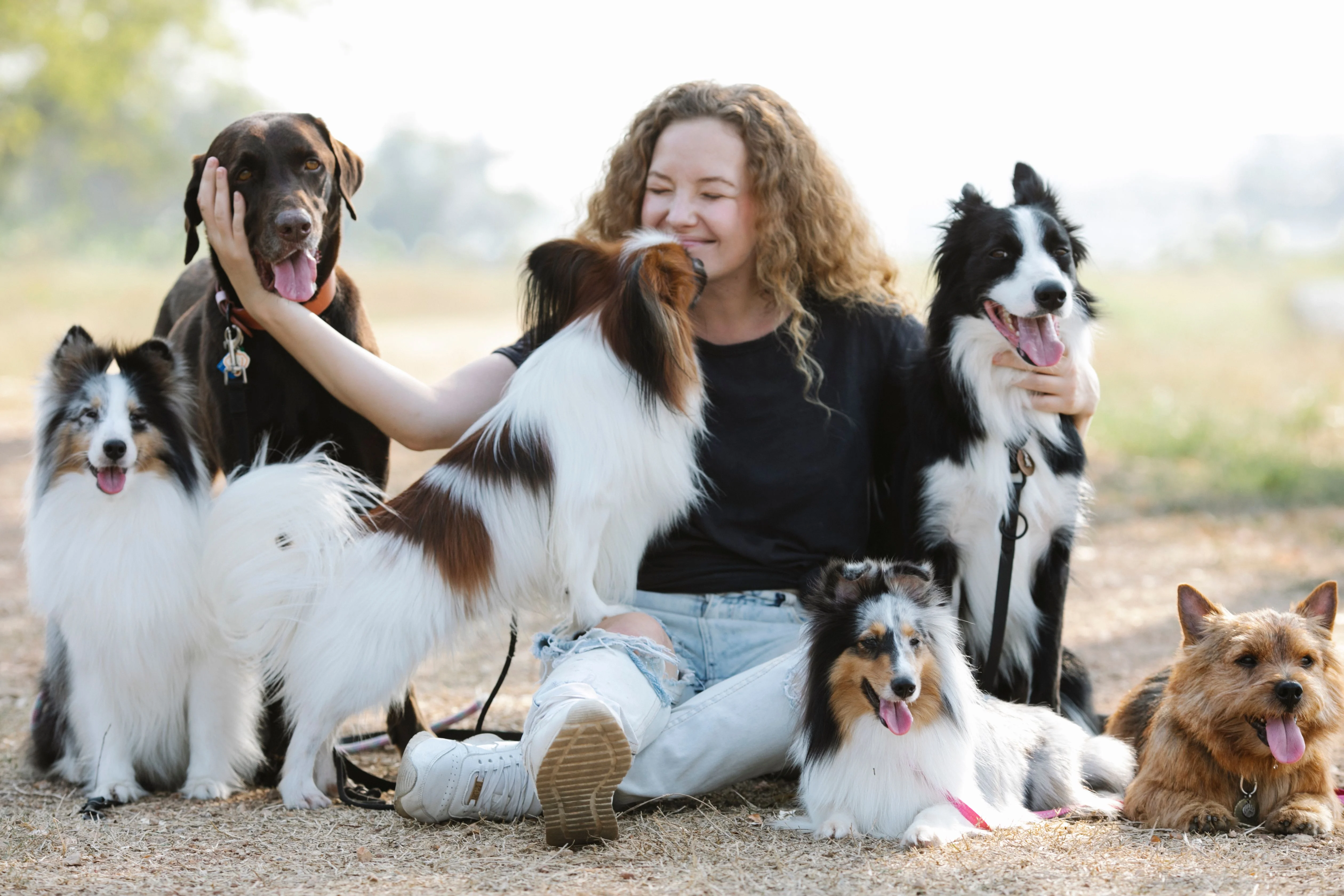Barking, Pacing & Separation Anxiety: How Overnight Pet Sitting Helps Pets Feel Safe and Comfortable