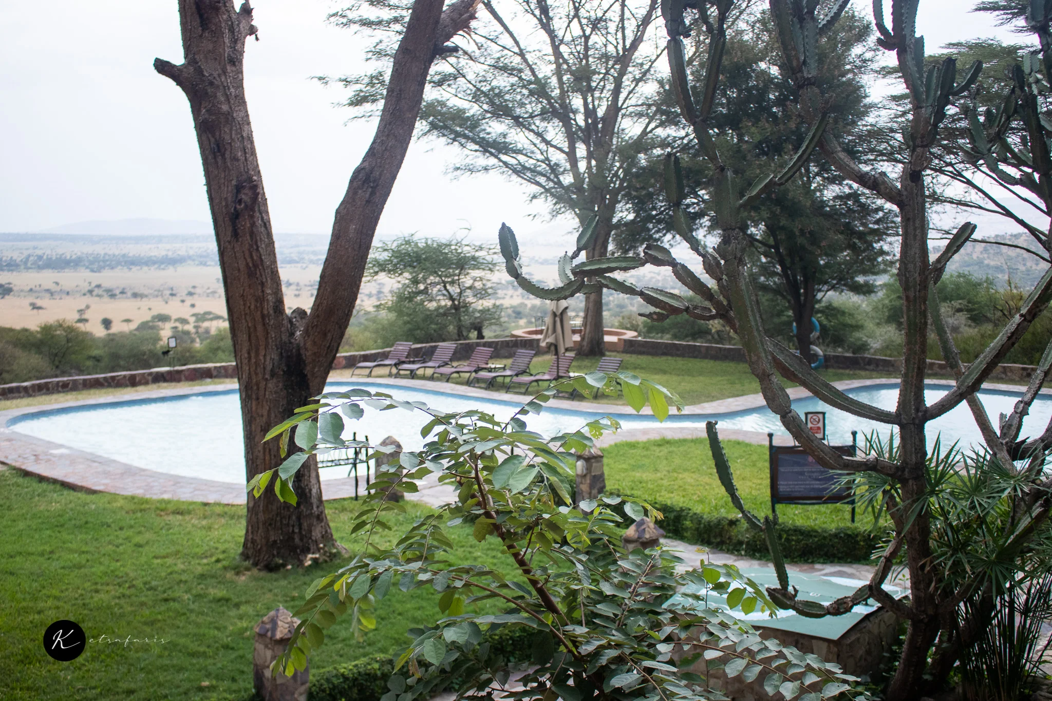 What's Actually Included in a Tanzania Safari Package? A First-Timer's Checklist