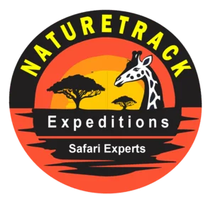 Chimpanzee Trekking Tours in Kibale National Park