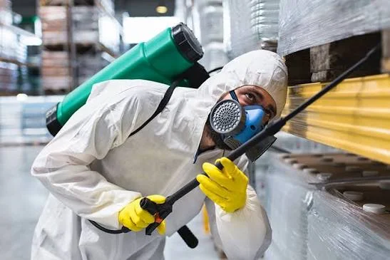 Common Pest Problems That Require an Exterminator in Manhattan