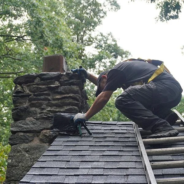 What a Professional Chimney Inspection Can Reveal