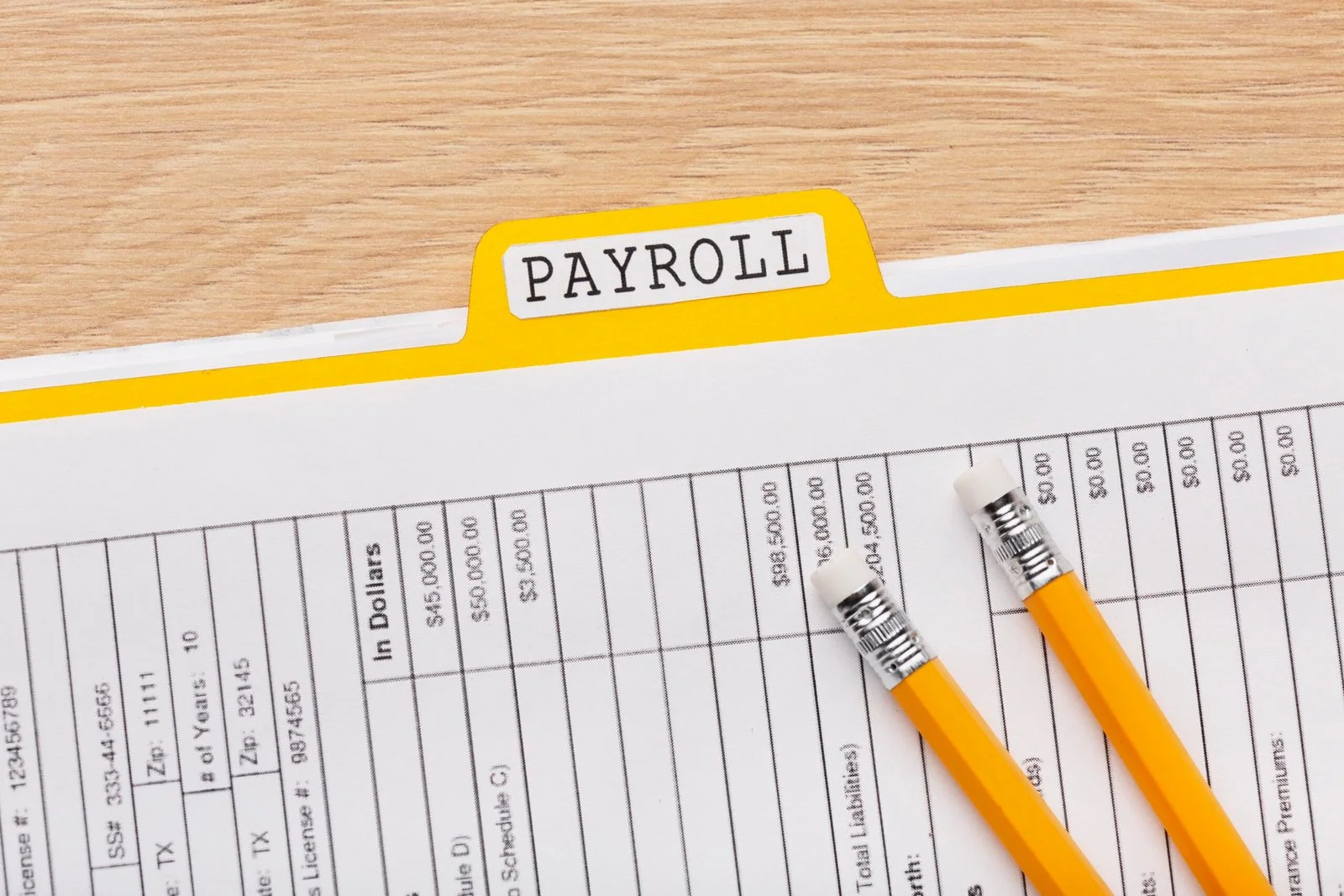Payroll Service Provider in India: What Growing Businesses Should Know
