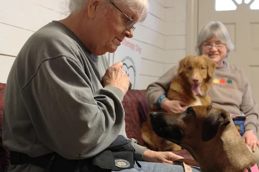 Veterinary Hyperbaric Oxygen Therapy: What Pet Owners Need to Know