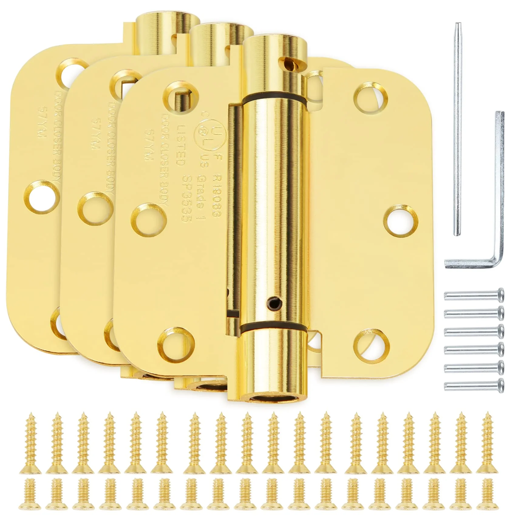 Automotive Door Hinges Market Long-Term Outlook Shaped by Electrification, Light weighting, Innovation, and Vehicle Evolution