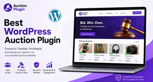 Can a WordPress Auction Plugin Create More Excitement Around Products?