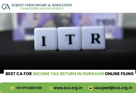 Best CA for Income Tax Return in Gurgaon Online Filing