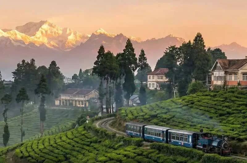 Darjeeling Calling: Plan a Memorable Himalayan Vacation from Delhi