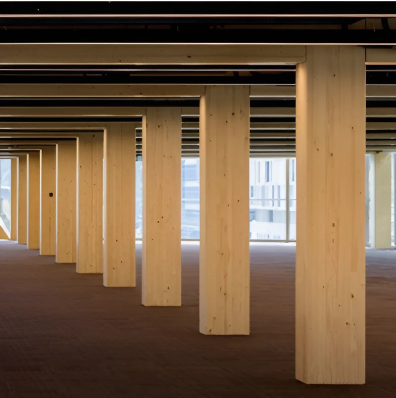 Treated Pine in Sydney: Grades, Uses and Buying Tips