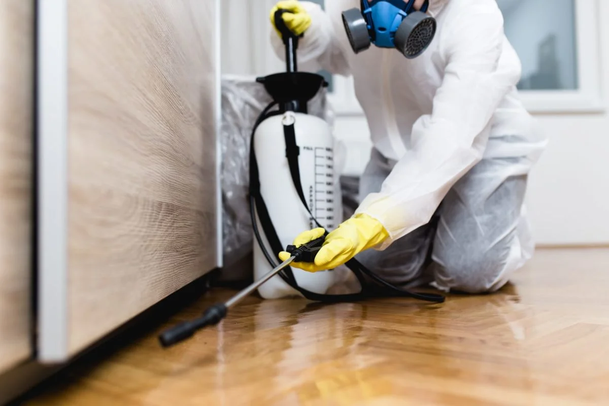 Protect Your Columbus Property with Effective Pest Control Strategies
