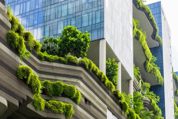 How Sustainable Materials Are Reshaping UAE Construction