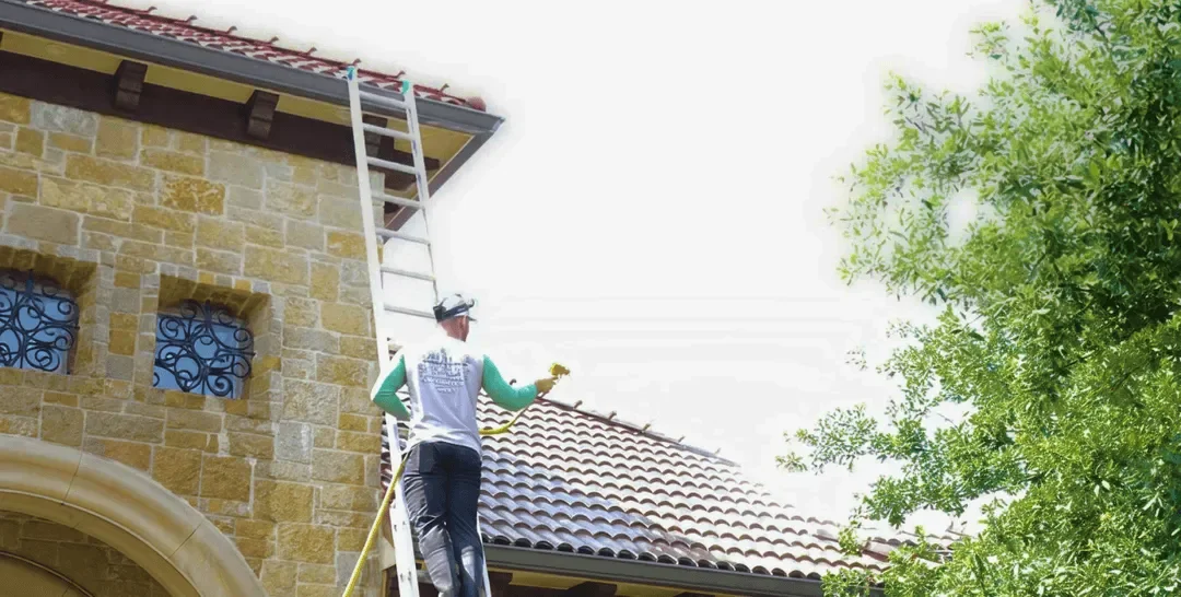 Graffiti and Paint Removal in Dallas for Businesses
