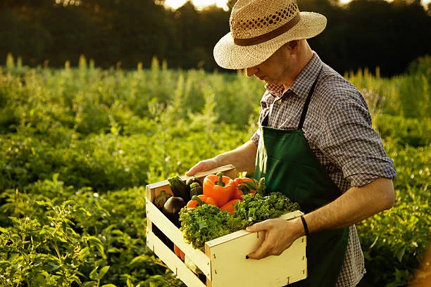 How Farm-to-Consumer eCommerce Is Changing the Food Industry