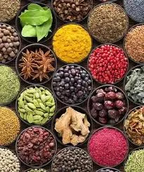Idukki: The Land of Aromatic Spices